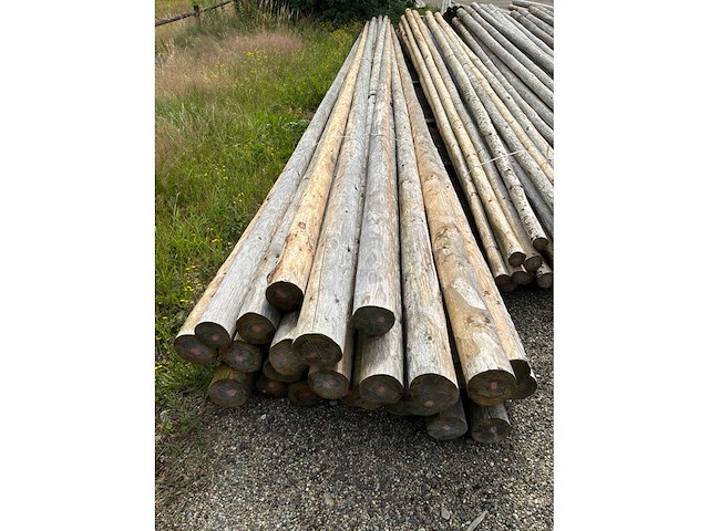 Diverse ronde palen (120x) - afbeelding 8 van  8