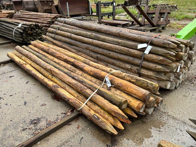 Diverse ronde palen 3000xø100-120mm (61x) - afbeelding 2 van  6