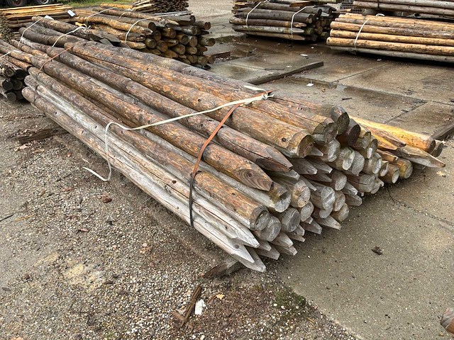 Diverse ronde palen 3000xø100-120mm (61x) - afbeelding 3 van  6
