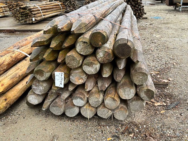 Diverse ronde palen 3000xø100-120mm (61x) - afbeelding 5 van  6