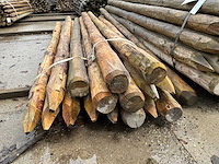 Diverse ronde palen 3000xø100-120mm (61x) - afbeelding 6 van  6