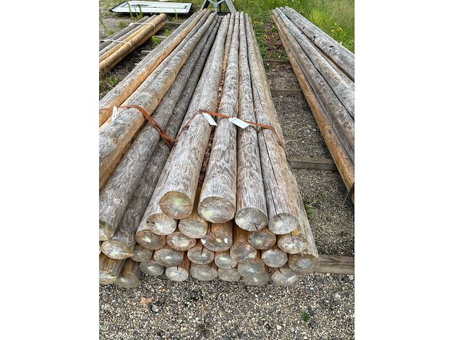 Diverse ronde palen (62x) - afbeelding 5 van  6