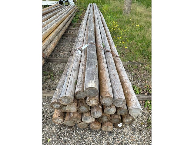 Diverse ronde palen (62x) - afbeelding 6 van  6