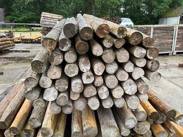 Diverse ronde palen (75x) - afbeelding 4 van  6