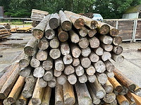 Diverse ronde palen (75x) - afbeelding 4 van  6