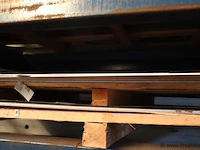 Diverse rvs platen - afbeelding 10 van  12