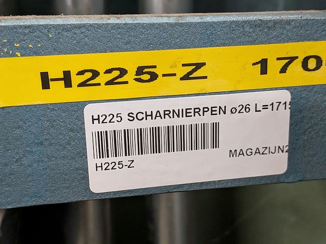 Diverse scharnierassen - afbeelding 4 van  12