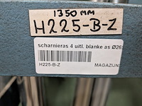 Diverse scharnierassen - afbeelding 12 van  12