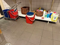 Diverse schoonmaakmiddelen