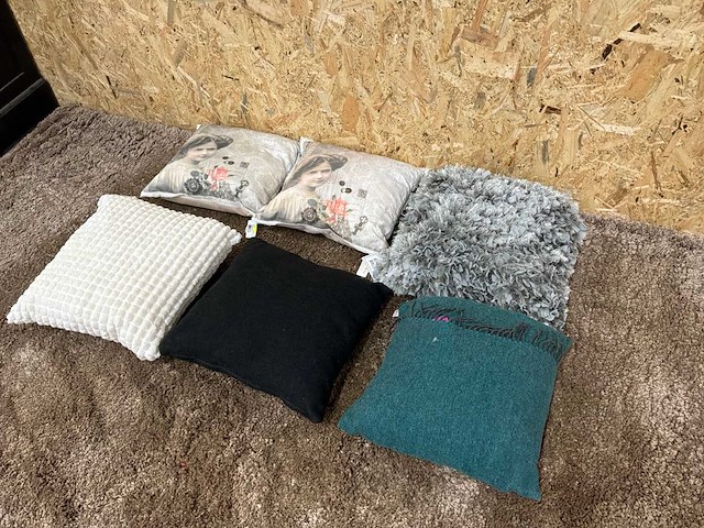 Diverse sierkussens (6x) - afbeelding 9 van  10