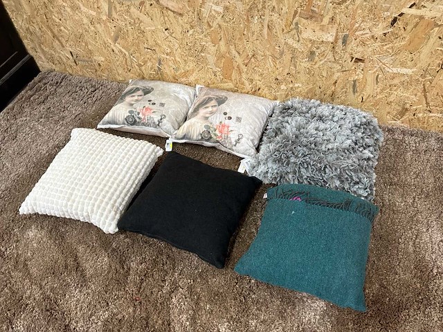 Diverse sierkussens (6x) - afbeelding 3 van  10