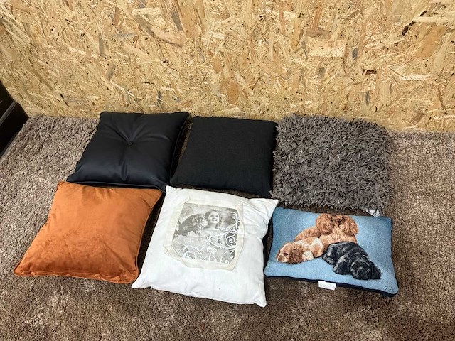 Diverse sierkussens (6x) - afbeelding 3 van  9
