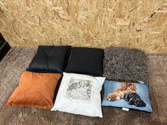 Diverse sierkussens (6x) - afbeelding 4 van  9