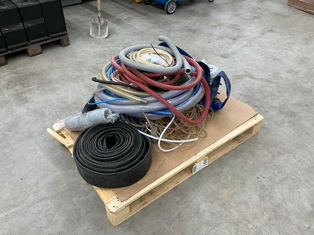 Diverse slangen - afbeelding 1 van  6