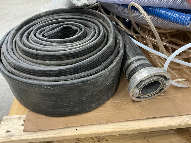 Diverse slangen - afbeelding 4 van  6