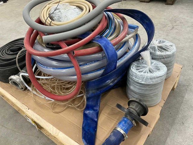 Diverse slangen - afbeelding 5 van  6