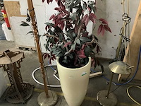 Diverse spullen - afbeelding 3 van  5