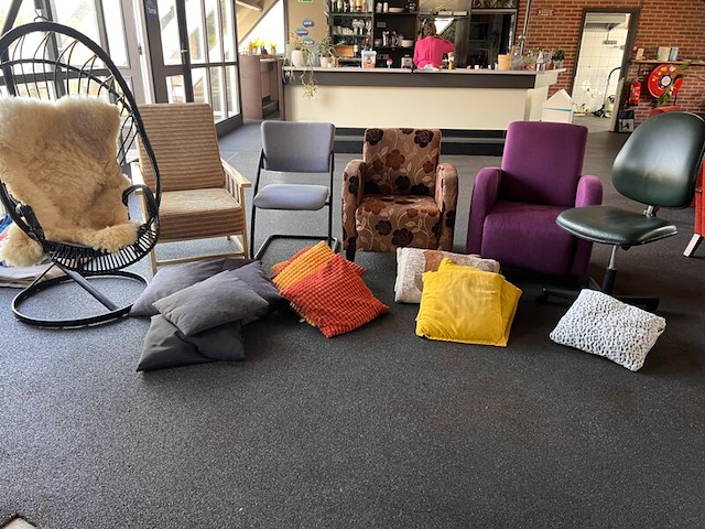 Diverse stoelen en kussens - afbeelding 1 van  12