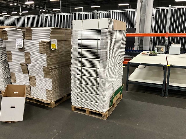 Diverse tulpendozen/deksels/kokers (9110x) - afbeelding 3 van  12