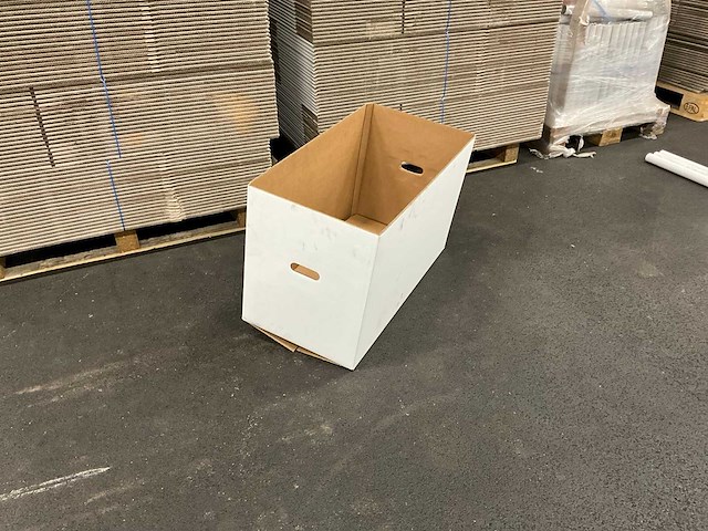 Diverse tulpendozen/deksels/kokers (9110x) - afbeelding 6 van  12