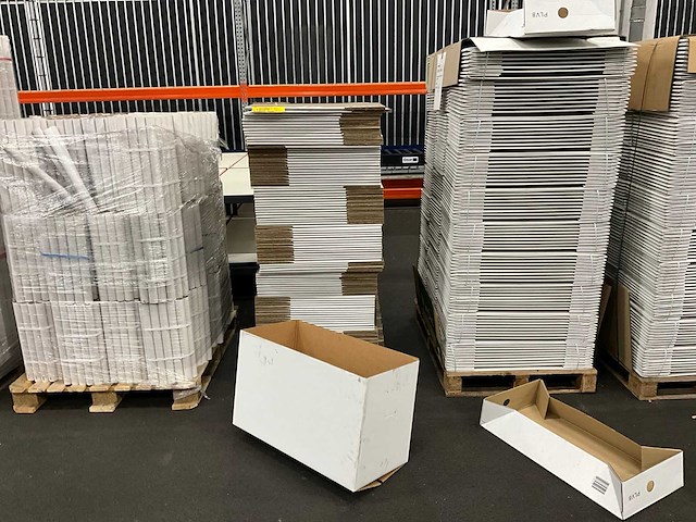 Diverse tulpendozen/deksels/kokers (9110x) - afbeelding 11 van  12