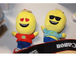 Diverse veiling hulten 6x