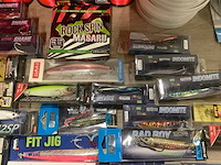 Diverse vis accessoires (76x) - afbeelding 4 van  9