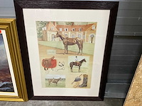 Diverse wanddecoratie (9x) - afbeelding 2 van  11