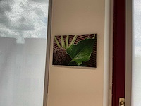 Diverse wanddecoratie - afbeelding 7 van  8