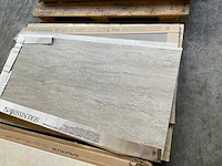 Diverse wandtegel 60x120 cm (5x) - afbeelding 1 van  3