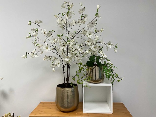 Diverse winkelinventaris en decoratie - afbeelding 3 van  8