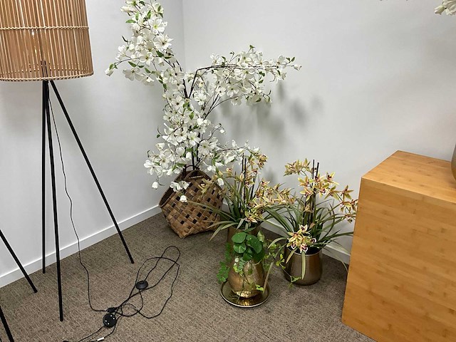 Diverse winkelinventaris en decoratie - afbeelding 4 van  8