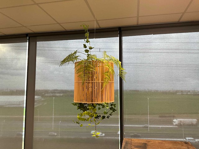 Diverse winkelinventaris en decoratie - afbeelding 8 van  8