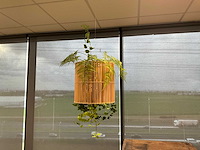 Diverse winkelinventaris en decoratie - afbeelding 8 van  8