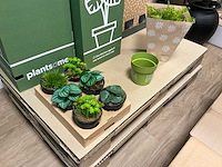 Diverse woonaccessoires - afbeelding 7 van  23