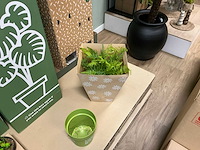 Diverse woonaccessoires - afbeelding 8 van  23