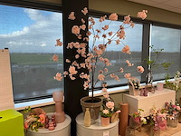 Diverse woonaccessoires - afbeelding 19 van  23