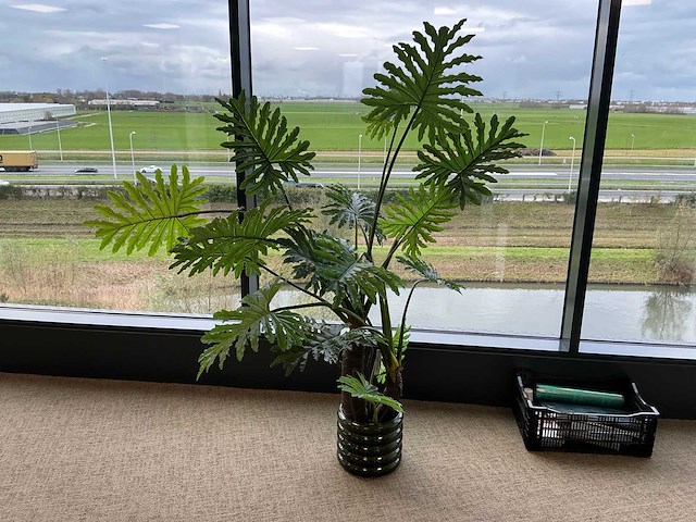 Diverse woonaccessoires - afbeelding 2 van  17