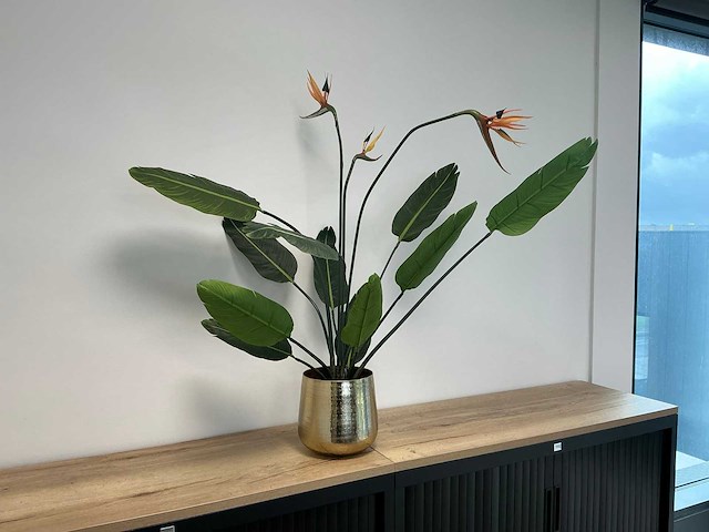 Diverse woonaccessoires - afbeelding 15 van  17