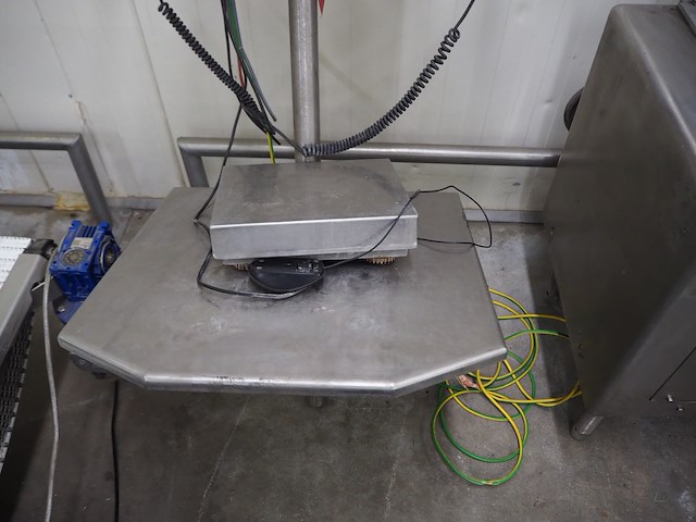 Divus - afbeelding 3 van  4