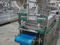 Dixie union - afbeelding 13 van  36