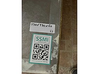 Dizerbra busch - it3000a-ac-a-ex2/22 - mobile floor scale - afbeelding 4 van  4