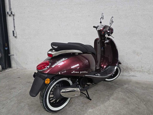 Djjd - snorscooter - avantgarde - 4t 25km uitvoering fsf38p - afbeelding 5 van  8