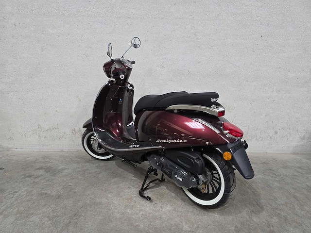 Djjd - snorscooter - avantgarde - 4t 25km uitvoering fsf38p - afbeelding 6 van  8