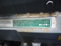 Dmw copeland - afbeelding 12 van  15