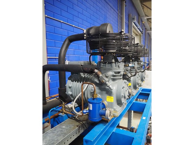 Dmw copeland - afbeelding 3 van  16