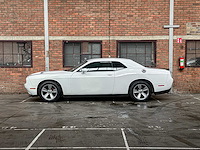 Dodge challenger sxt 3.6 v6 305pk 2016 - afbeelding 13 van  34