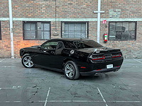 Dodge challenger sxt 3.6 v6 305pk 2019 - afbeelding 6 van  34