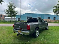 Dodge dodge dakota | v-80-dnr i - afbeelding 11 van  16