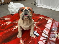 Dog statue - afbeelding 2 van  3